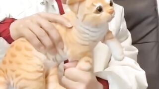 funny video wait for end