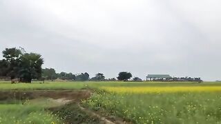 Village Cooking Life