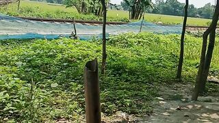 আজকে বিষণ রোদ