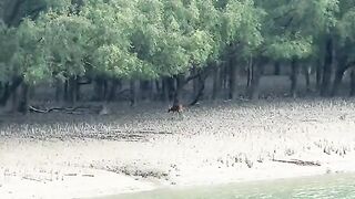 'Tu Hi Mera' from 'Jannat 2'