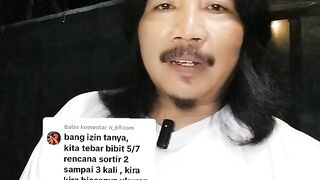 Jika selama budidaya lele hanya 3X sortir, bak sortirnya ukuran berapa❓
