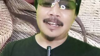 Cara mengobati penyakit SIRIP MERAH pada ikan lele
