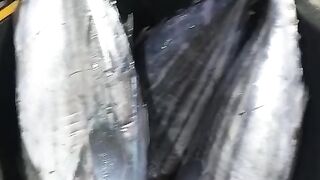 Fresh fish caught