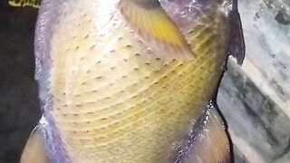 The catch of husband with his friend's friend