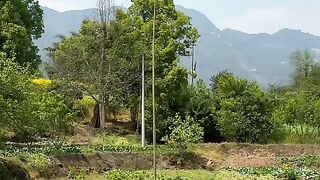 Skill Video