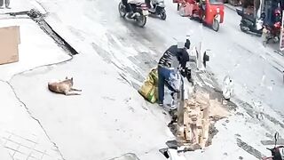 Fun Video
