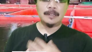 Begini cara saya menambah ketinggian air kolam