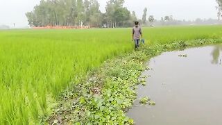 Traditional Hook Fishing