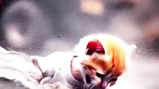 Sad cat video and her with friends