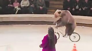 Most dangerous accident in the world
