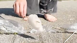 Fun Video