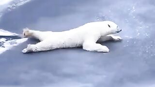 If you suddenly happen to be on the ice, then here is a practical guide for you on how to move around it