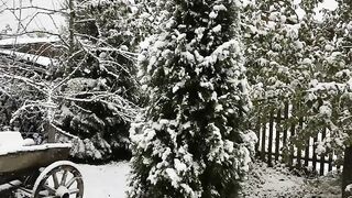 Happy first snow!