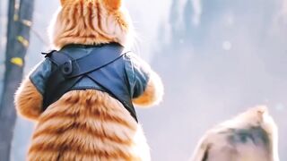 Thief Cat funny video || 2.0 Kids ||#cat #animallife #baby #wildlife #funny.....