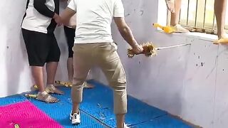 Better than Mobile Game