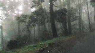 Ohiya ☘️???? Srilanka