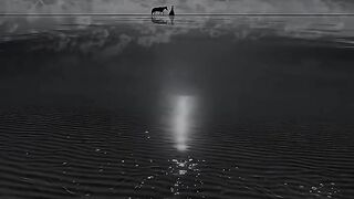 Don't Be Shy At 4 Things - Life lessons By Anthony Hopkins #inspirationalquotes #anthonyhopkins