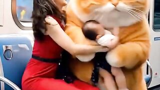 Fat cat kidnaps human babies to keep as pets