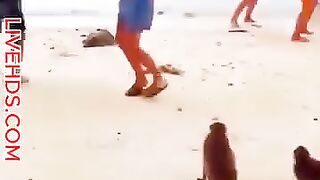 Dangerous animal funny video of the day