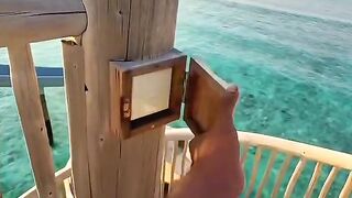 Nature Video