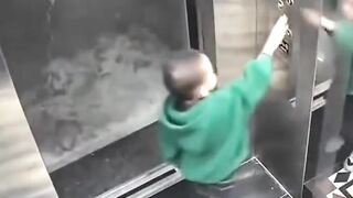 Fun Video