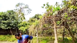 Popular Net Fishing