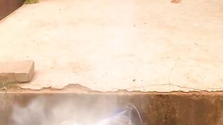 ফানি ভিডিও