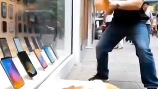 The-poor-puppy