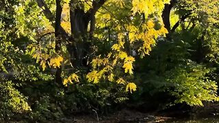 Life flow challenge journey.#shortvideo #life