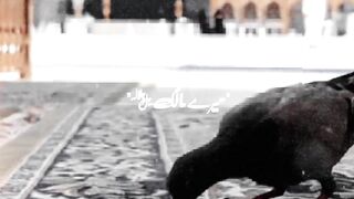 Jumma Mubarak everyone.???????????????????? please like my video and Scribe my channel please????????????????