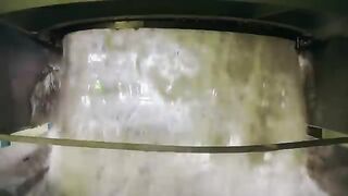 Sugar