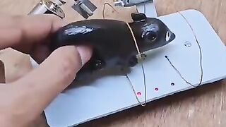Funny Videos Gallery - A funny and effective video. nice funny video 2025