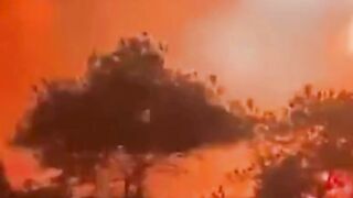 Israel Now! Worst Wildfire in Jerusalem’s History Forces Thousands To Evacuate & Left Devastations