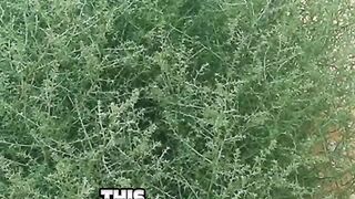 INCREDIBLE PHOTOS THAT WILL LEAVE YOUR SPEECHLESS | PART 2