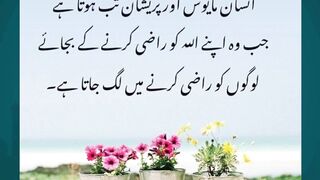 Islamic Informatin #love #lovestatus  #arabculture #quotes #islamicknowledge #islamicstudies