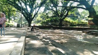 500 Years old Trees | Oldest Trees In Bangladesh | Chittagong | Bangladesh