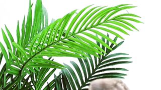 মানুষের মন হচ্ছে কবরস্থানের মত