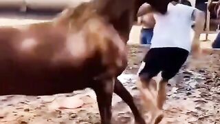 Fun Video