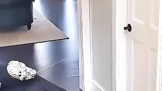 Funny video