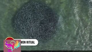 A giant finger print in sea #new