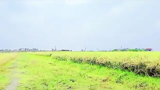 গ্রাম তোমার কাছে কেমন লাগে আমার কাছে প্রিয়