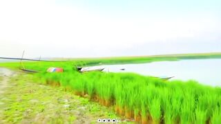 গ্রাম হচ্ছে প্রত্যেকটা মানুষের ইমোশনাল