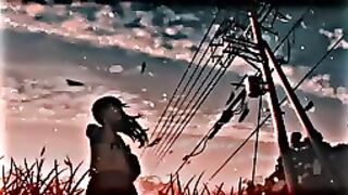 গান কষ্টর