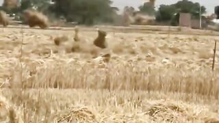 ???????????????????? #fannyvideo #trending #couple #foryou #foryoupage #bdtiktokofficial #ফানি_ভিডিও????????????????মজা