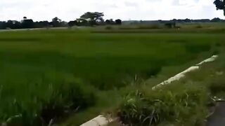 Motivasi
