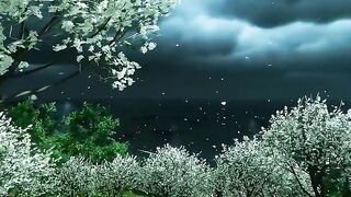 Nature _ Vacation _ adventure - Breathtaking View ????????????☘️(HD)
