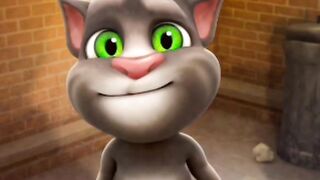 Tom cat