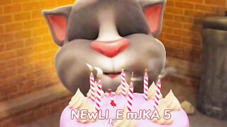 Cleber cat