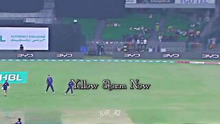 Peshawar zalmi