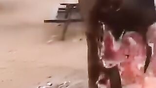Strange Wild Fire in Israel